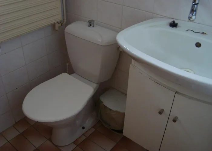 Privat Mirovice-breznice Mirovice